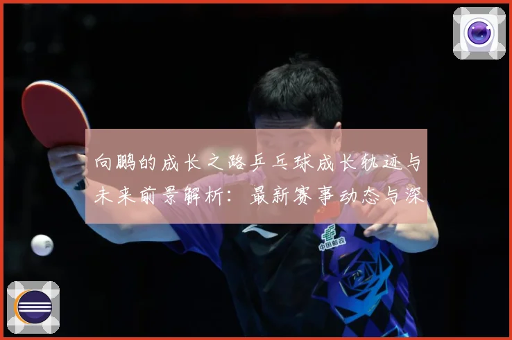 向鹏的成长之路乒乓球成长轨迹与未来前景解析：最新赛事动态与深度分析